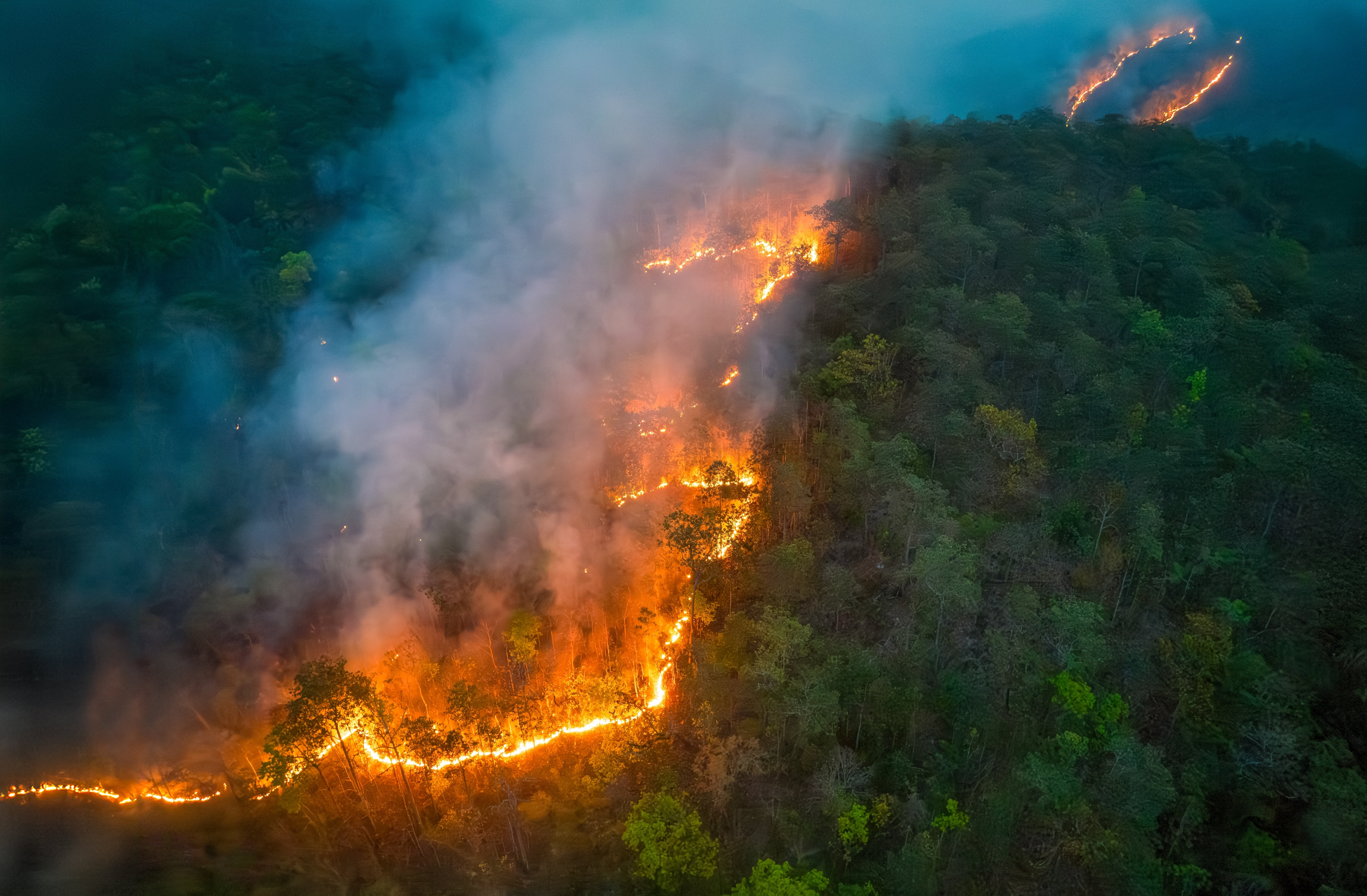 Wildfires release CO2 emissions and other greenhouse gases that contribute to climate change.